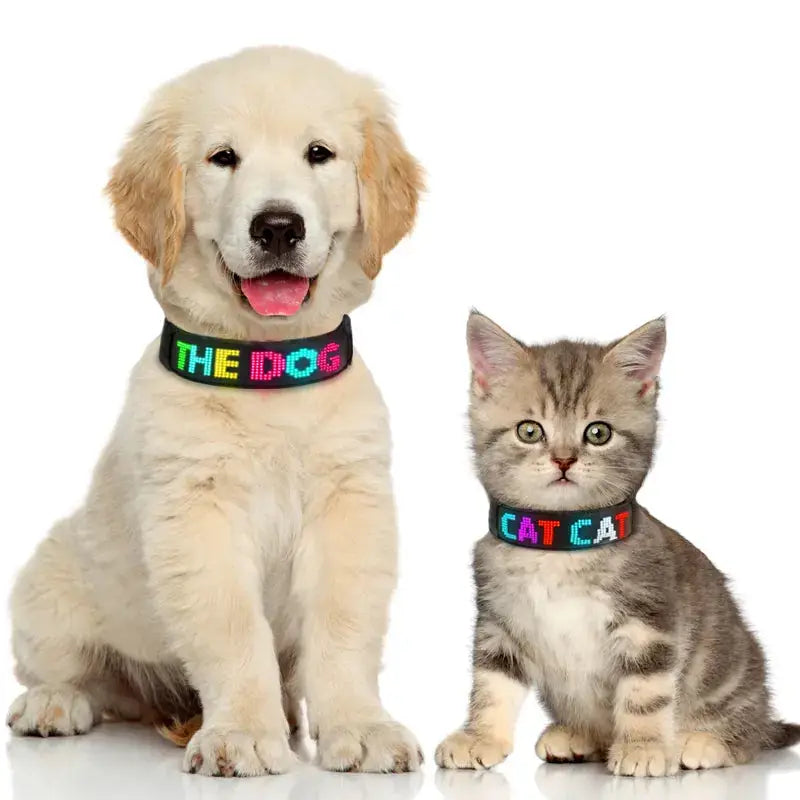 Collare led personalizzabile per Cani e Gatti