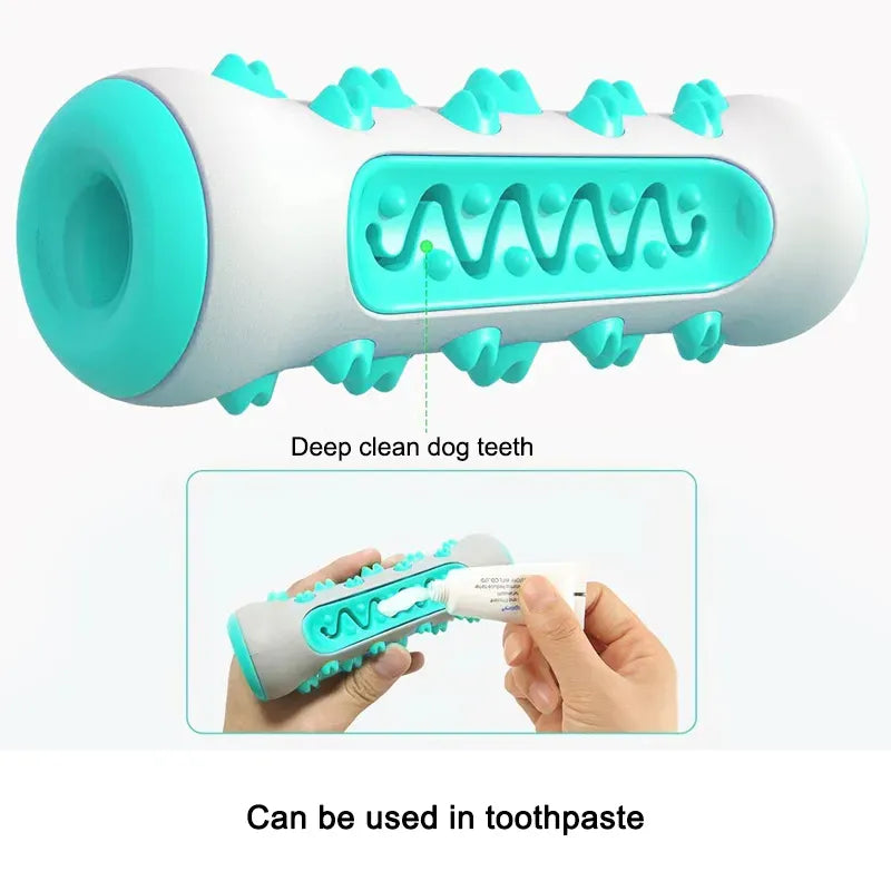 Giocattolo per l'igiene dentale del cane